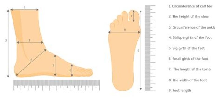 Accurate Height Of Bellingham: Measured In Feet