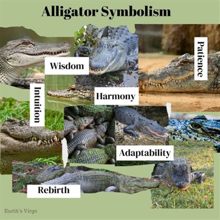 How Long Has Denise Bellingham Been Around?