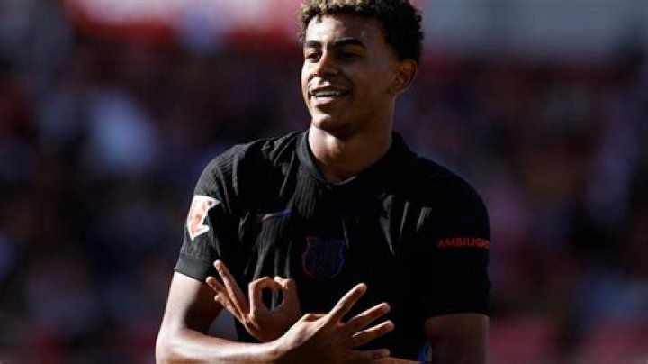 How Much Does A Yamal Weigh And Why You Need To Know