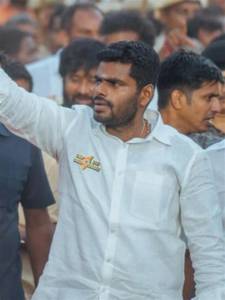 Learn From The Expert: K. Annamalai Education